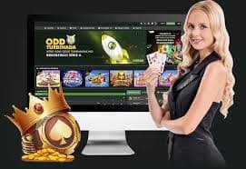 082 bet vip 082 bet vip